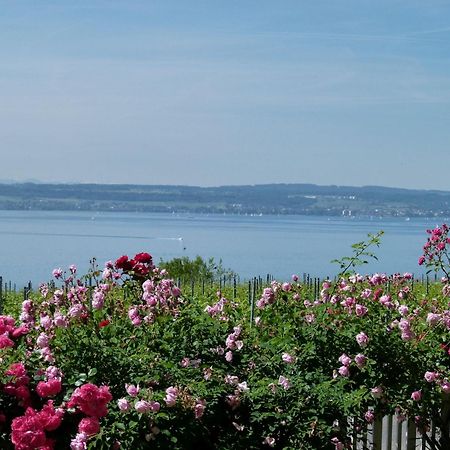 Abc Ferienwohnungen Abc Wohnung A Meersburg Exteriör bild