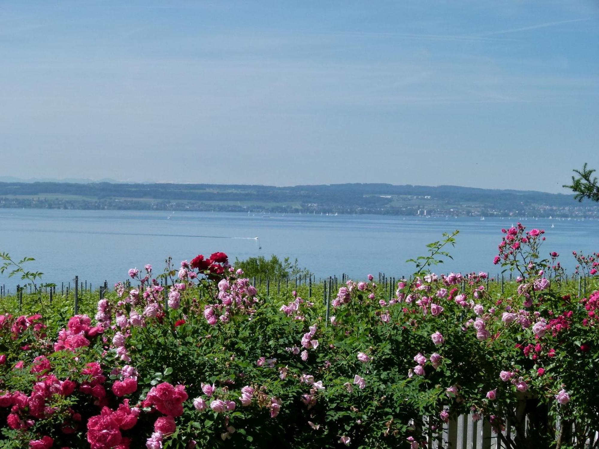 Abc Ferienwohnungen Abc Wohnung A Meersburg Exteriör bild